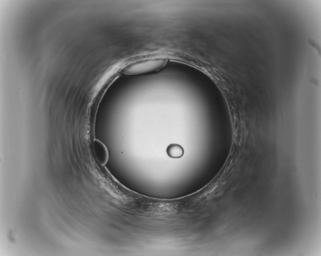 X0000100230056200805301421