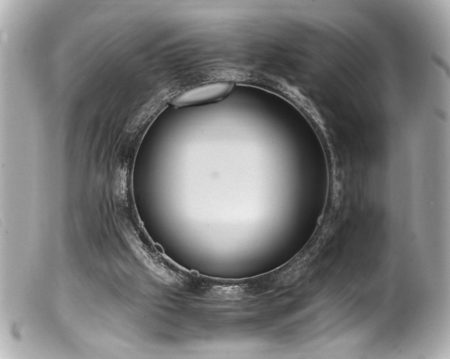 X0000100230057200805301421