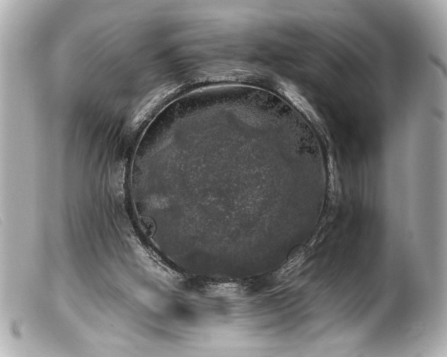 X0000100230058200805301421