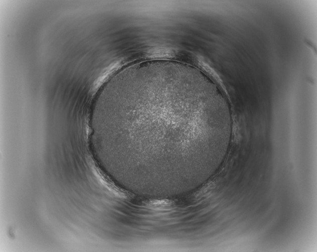 X0000100230059200805301421