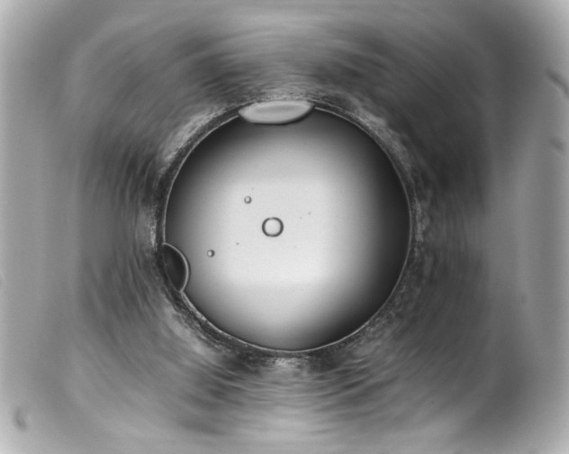 X0000100230060200805301421