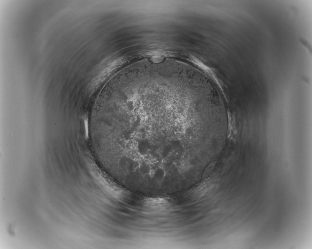 X0000100230061200805301421