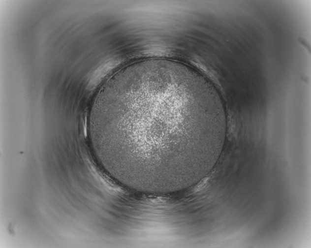 X0000100230062200805301421