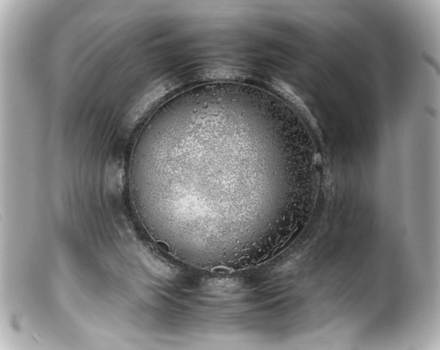 X0000100230063200805301421