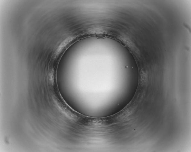 X0000100230064200805301421