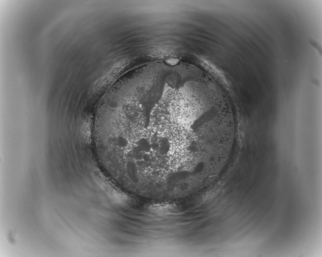 X0000100230065200805301421