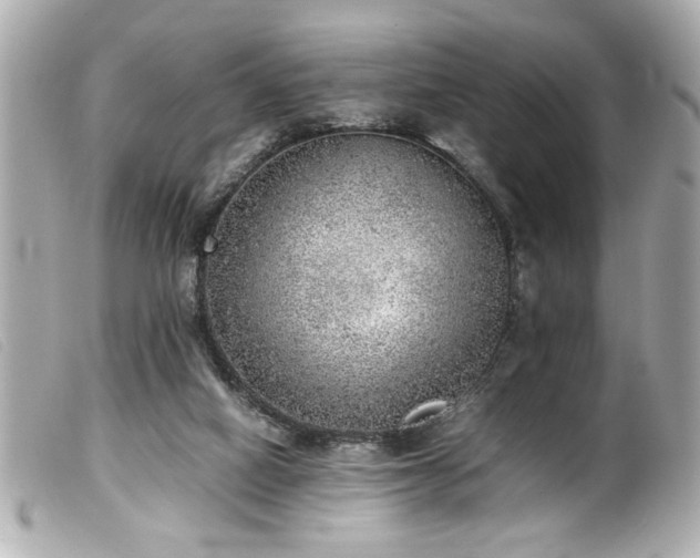 X0000100230066200805301421