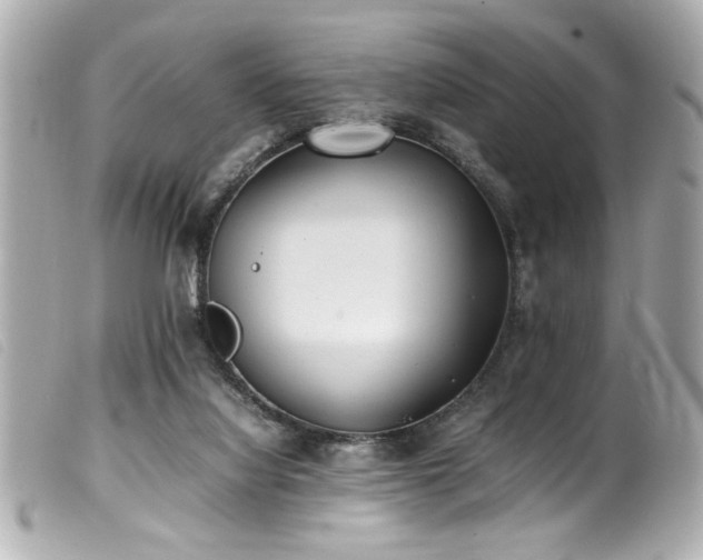 X0000100230068200805301421