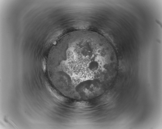 X0000100230069200805301421