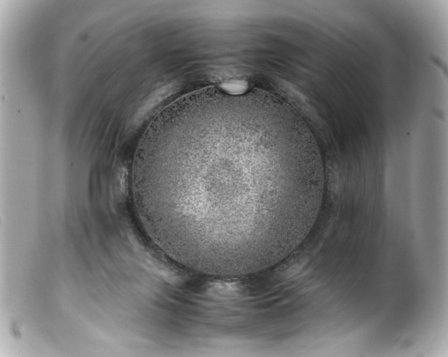 X0000100230071200805301421