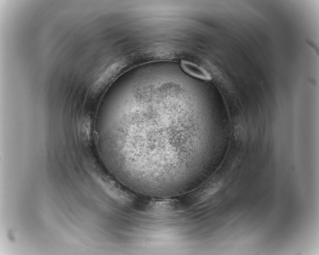 X0000100230072200805301421