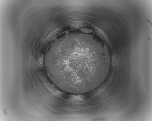 X0000100230073200805301421