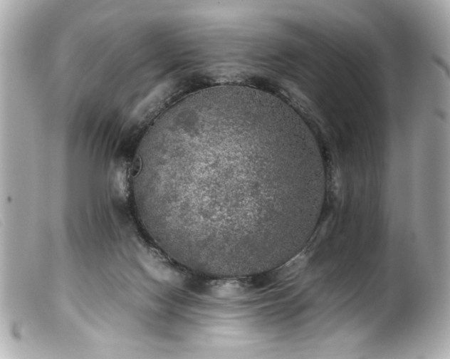 X0000100230074200805301421