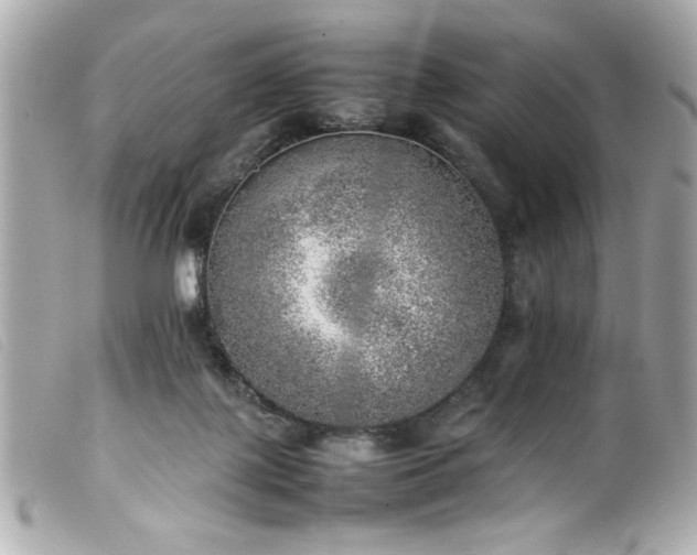 X0000100230075200805301421