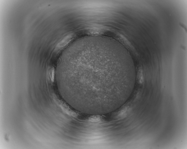 X0000100230076200805301421