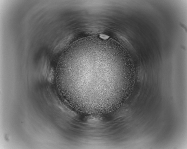 X0000100230077200805301421