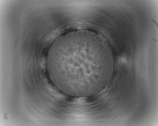 X0000100230078200805301421