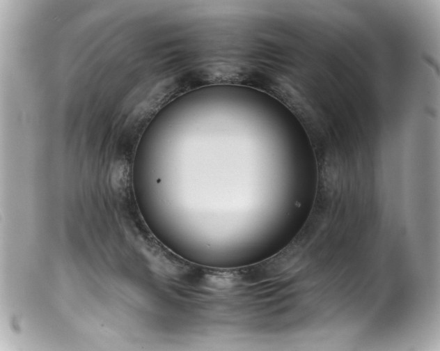 X0000100230079200805301421