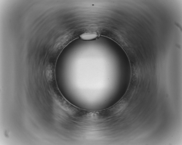 X0000100230080200805301421