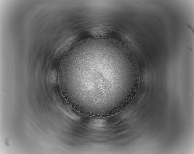 X0000100230081200805301421