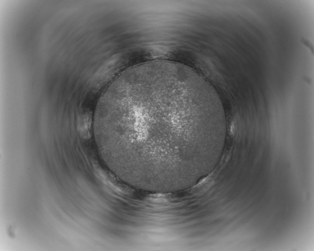 X0000100230082200805301421