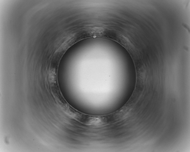 X0000100230083200805301421