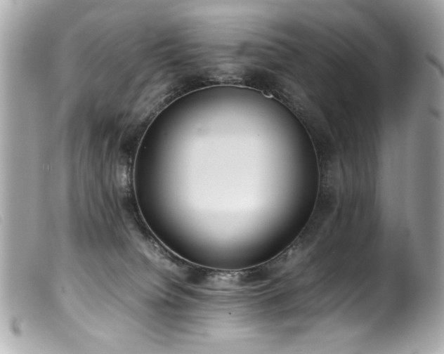 X0000100230084200805301421