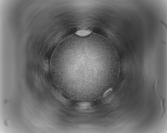 X0000100230085200805301421