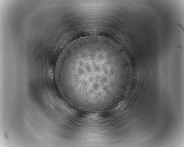 X0000100230086200805301421