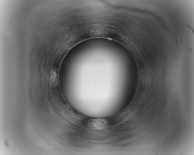 X0000100230087200805301421