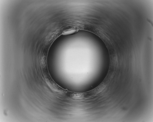 X0000100230088200805301421