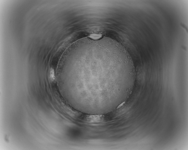 X0000100230089200805301421