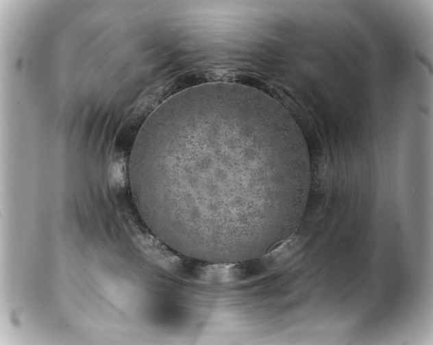 X0000100230090200805301421