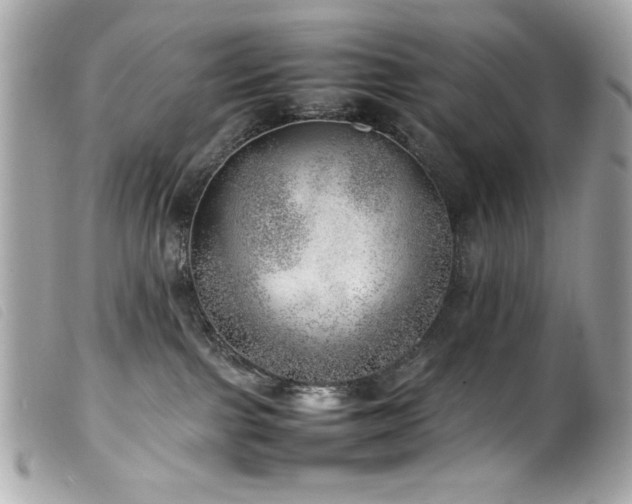 X0000100230091200805301421