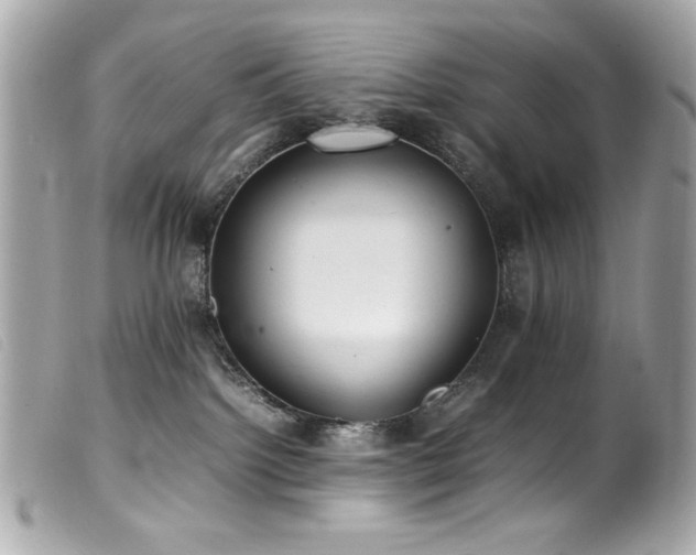 X0000100230092200805301421