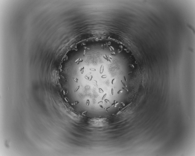 X0000100230093200805301421