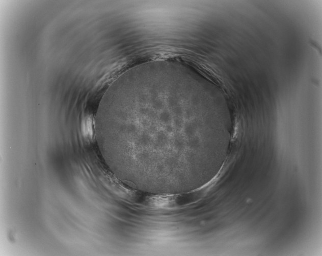 X0000100230094200805301421