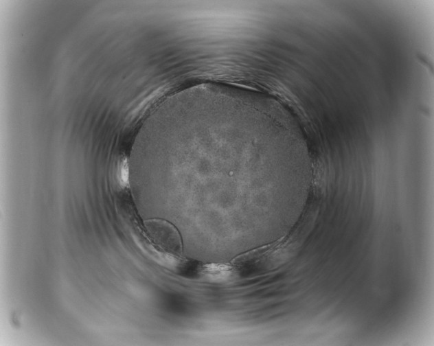 X0000100230095200805301421