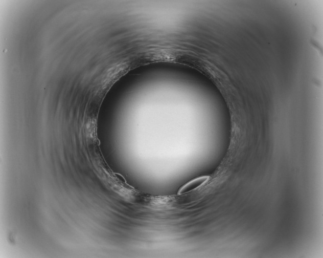 X0000100230096200805301421