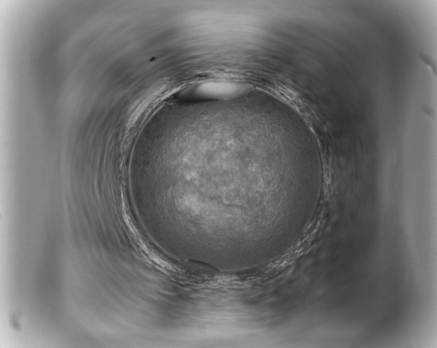 X0000100230097200805301421