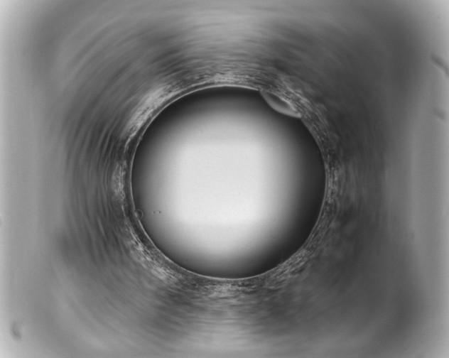 X0000100230098200805301421