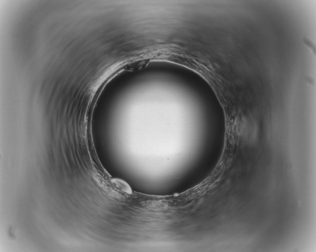 X0000100230100200805301421