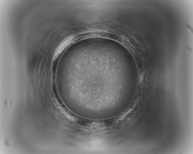 X0000100230101200805301421