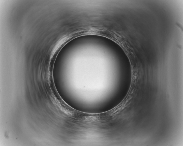 X0000100230102200805301421