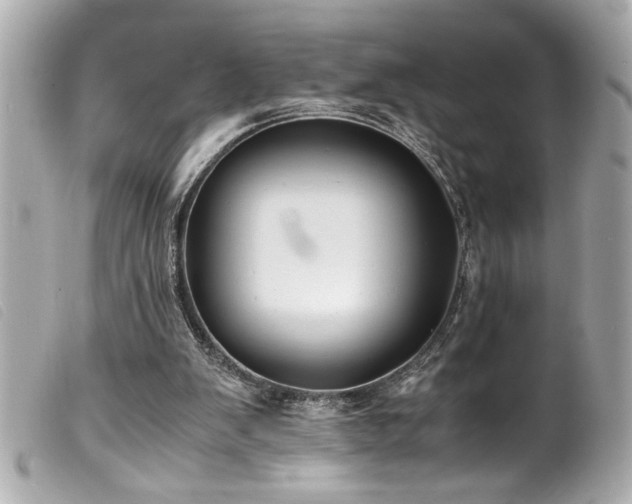 X0000100230103200805301421