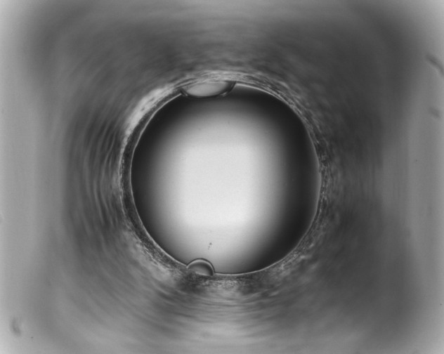 X0000100230104200805301421