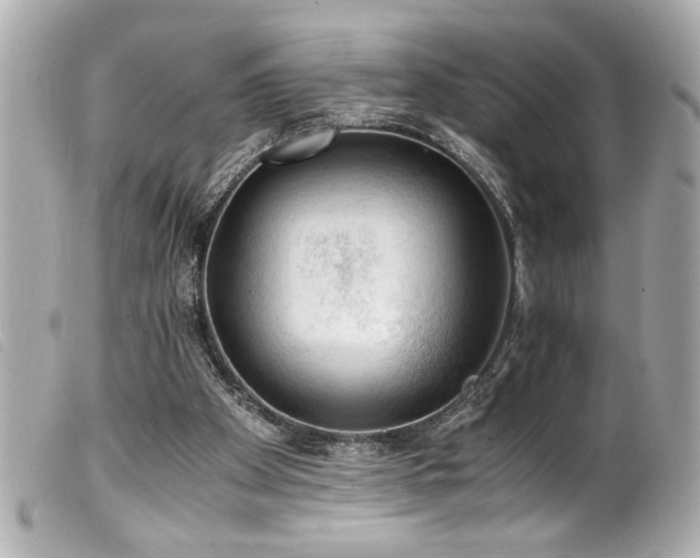 X0000100230105200805301421