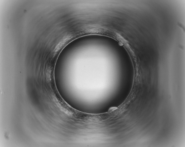 X0000100230106200805301421