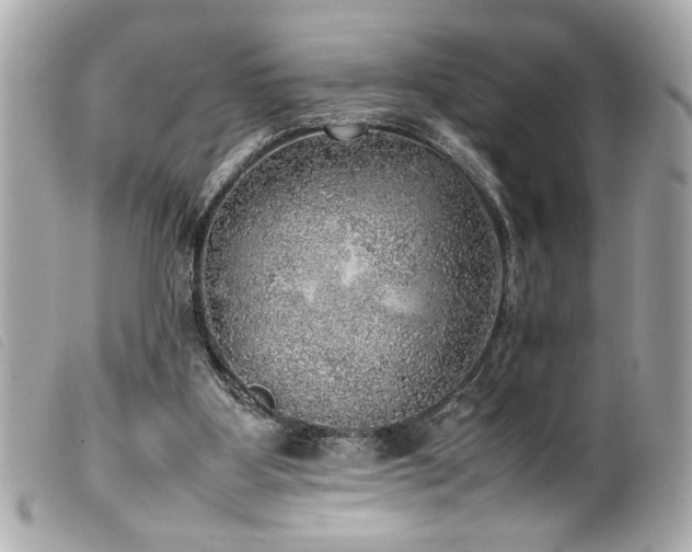 X0000100230107200805301421