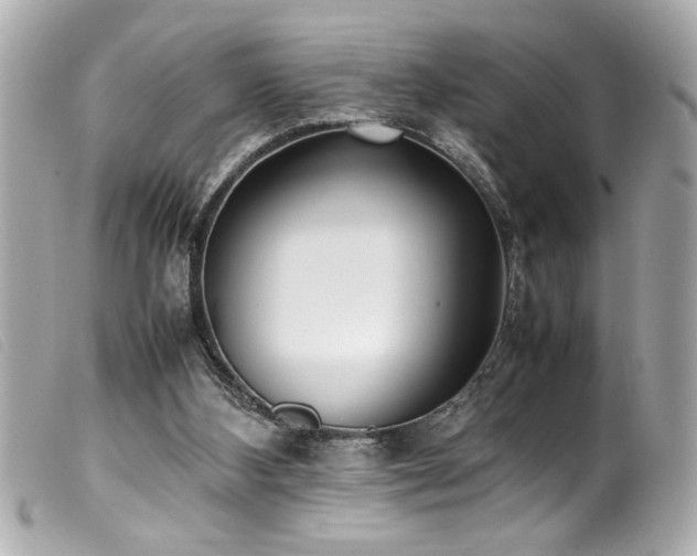 X0000100230108200805301421